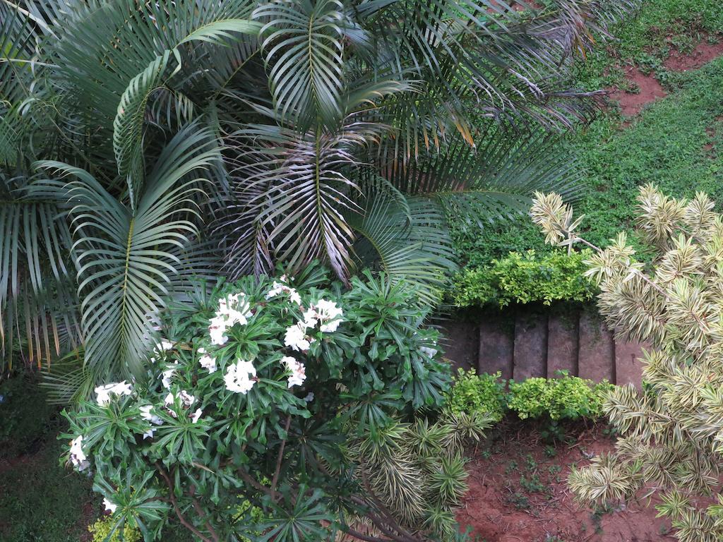 Kandy View Garden Hotel Dış mekan fotoğraf